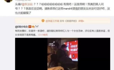 读心吃瓜娱乐圈系统txt,娱乐圈系统TXT深度解析
