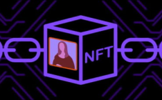 nft概念是什么意思,数字时代的独特资产与所有权革命