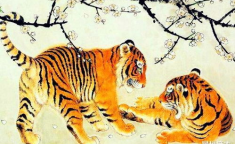 逆流而上是什么生肖,勇往直前的生肖特质解析