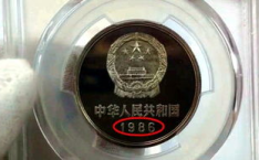硬币娱乐,揭秘虚拟货币世界的无限魅力